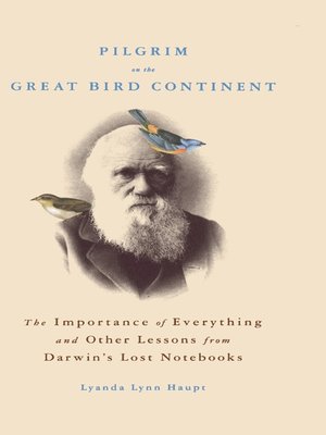 cover image of Pilgrim on the Great Bird Continent